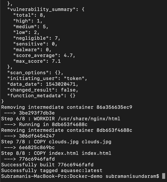 Docker build with Aqua contd.