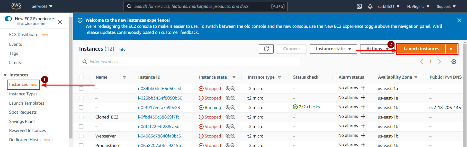 Launching EC2 Instance
